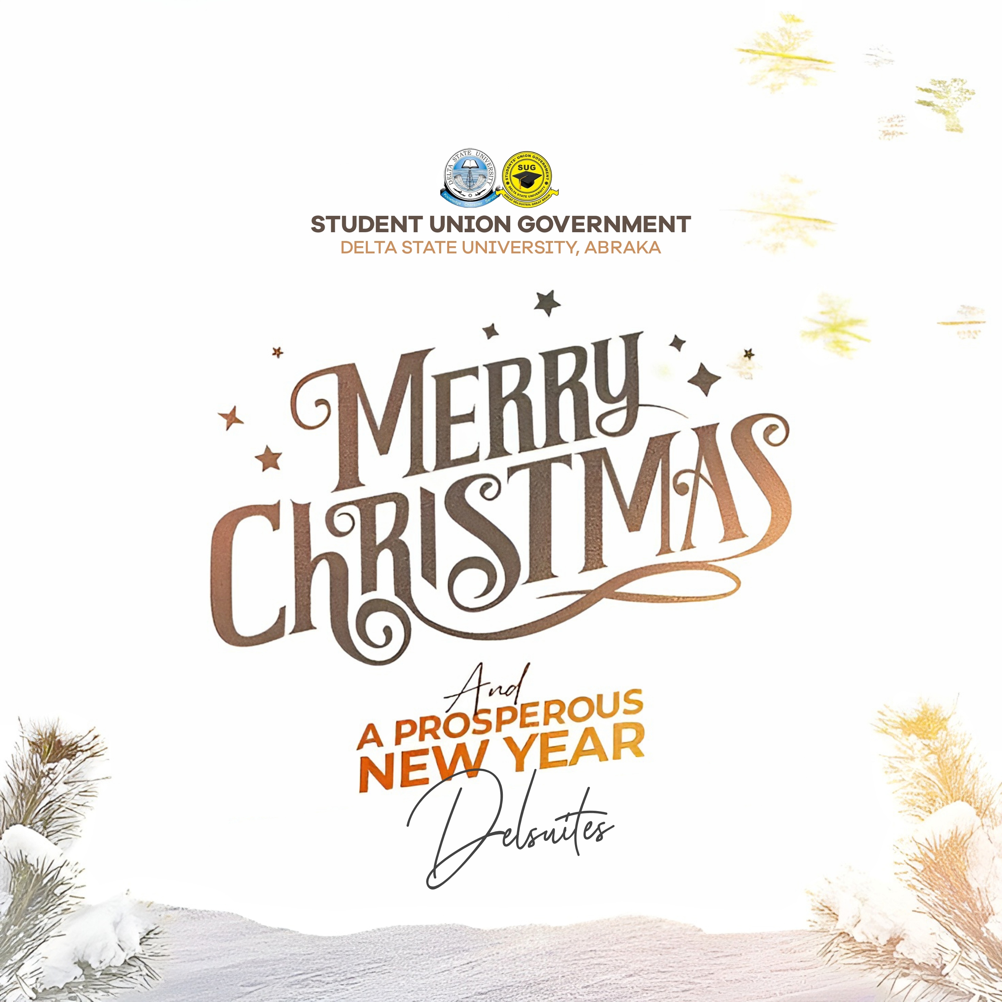 MERRY CHRISTMAS & HAPY NEW YEAR